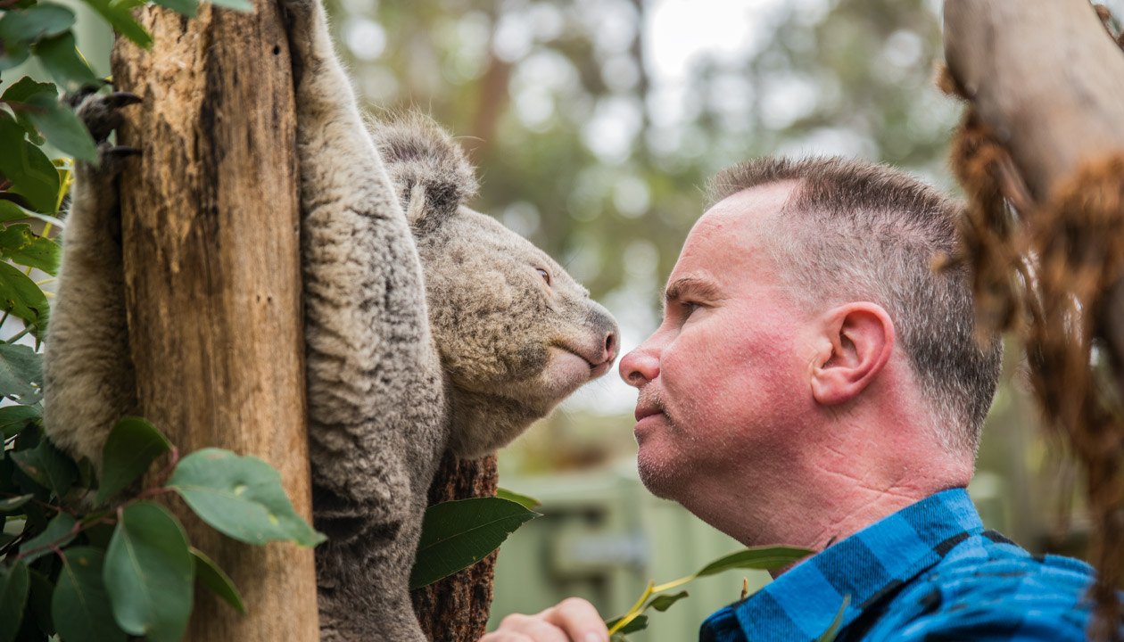 Man with koala