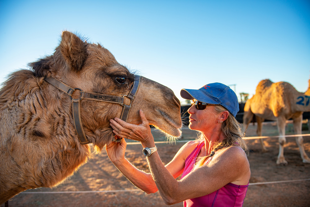 Champion camel jockey and trainer Glenda Sutton lavishes love on Kumite, one the six animals she had competing at the Boulia Races in outback Qld this year. Photo Ken Eastwood. Up Close #127.