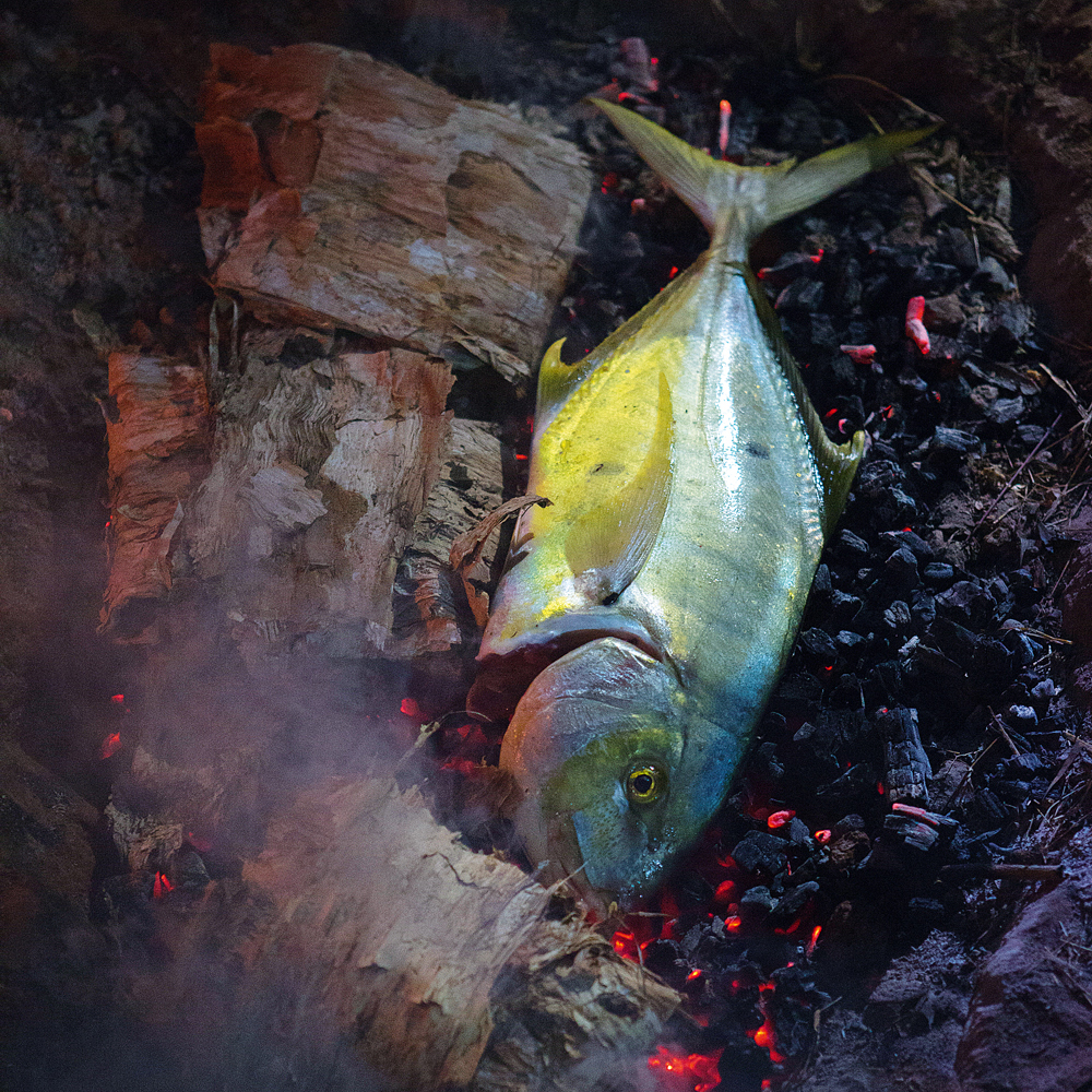 Fish and vegetables are cooked in the coals, some wrapped in paperbark. Paperbark is harvested from Seven Emu Station sold to bush food distributors. Photo by David Hancock. Stations OUTBACK #Issue 130.