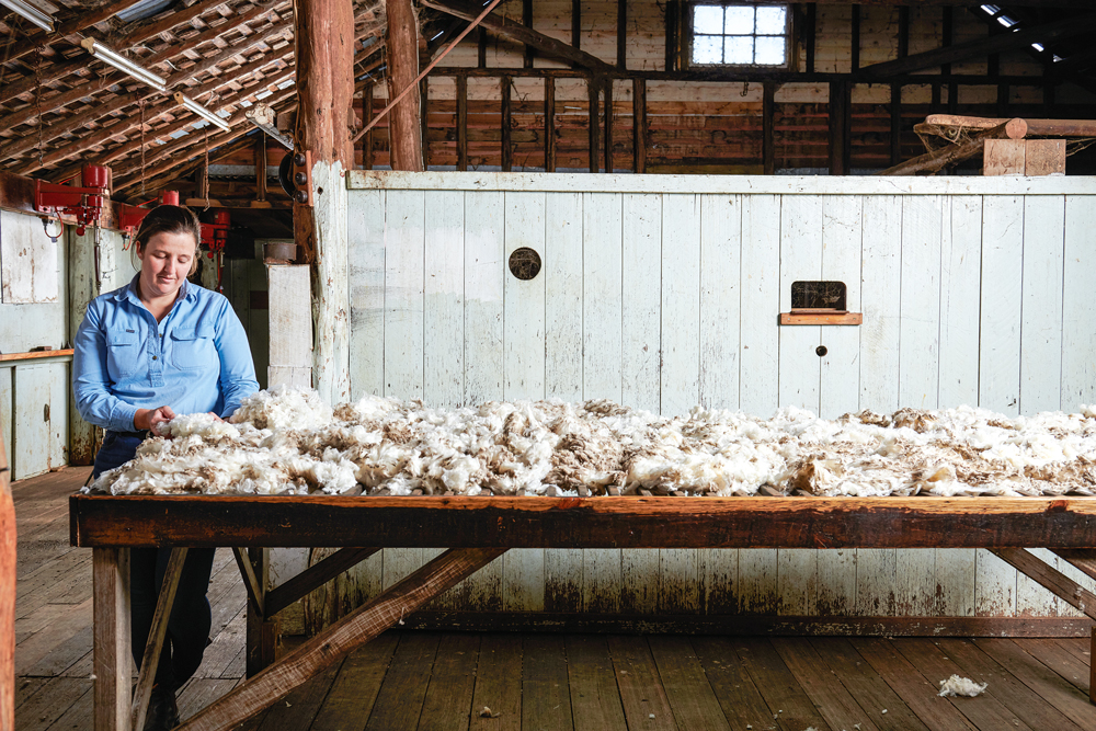Anna Cotton at the classing table at Kelvedon Estate, Tas. Photo by Cormac Hanrahan. At Work OUTBACK #Issue 132.