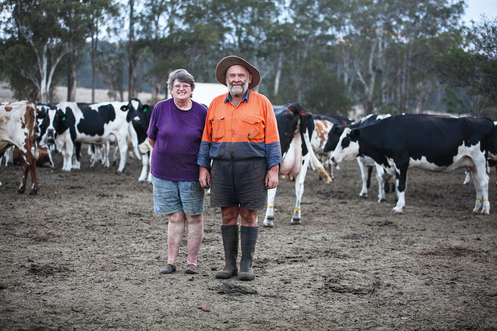 Violet and Col Kahler stand proudly in front of their Friesian dairy cows. Photo by Paula Heelan. At Work Issue #133.