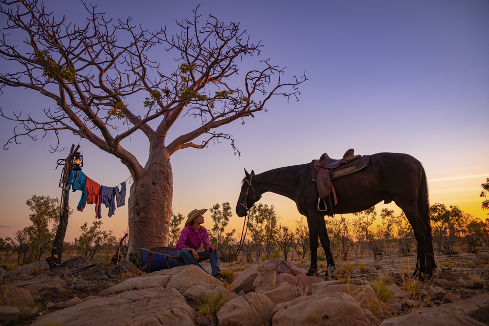 A boab tree becomes a bedroom for jillaroo Shae Ford, as she sets up camp for the night on Fossil Downs Station, WA. Photo by Stacey Ford. 2021 Calendar.