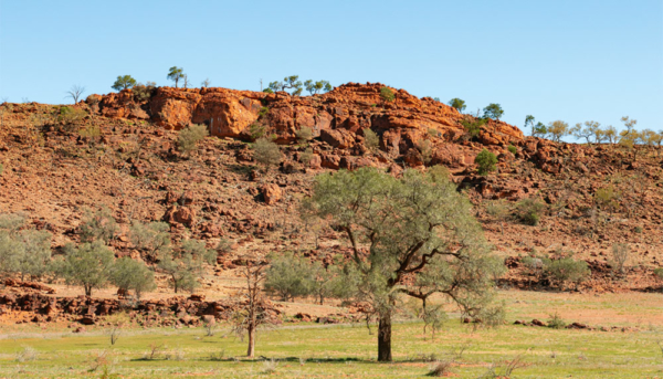 Seeking Sturt's Steps - Outback Magazine : R.M. Williams