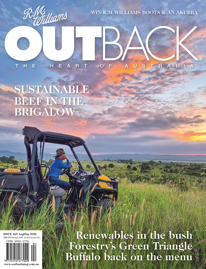 OB168_COVER_1080x828 OB168_COVER_1080x828