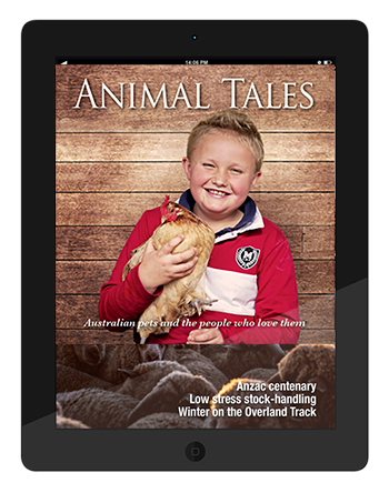 Animal_tales_ipad_350x444px